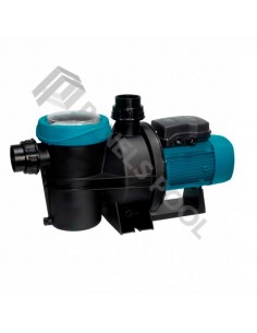 Bomba filtracion piscina...