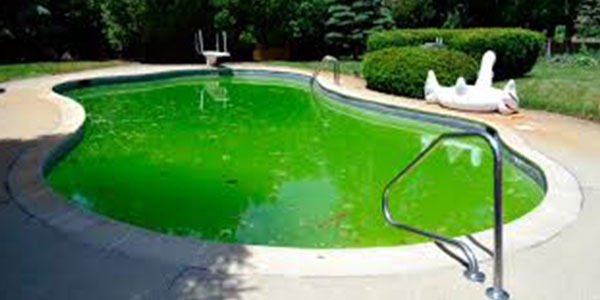 Soluciones a los problemas más comunes del agua de tu piscina